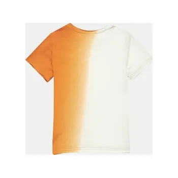 Pánské oblečení Coccodrillo T-Shirt WC4143202HBK Oranžová Regular Fit 116