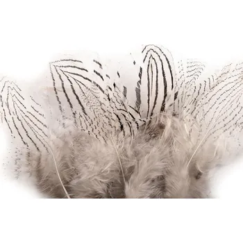 Bažantí peří délka 5 - 11 cm - bílá (20 ks)