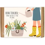 Semínkové bomby - dárková sada pro učitele menší Květiny Blossombs 7ks