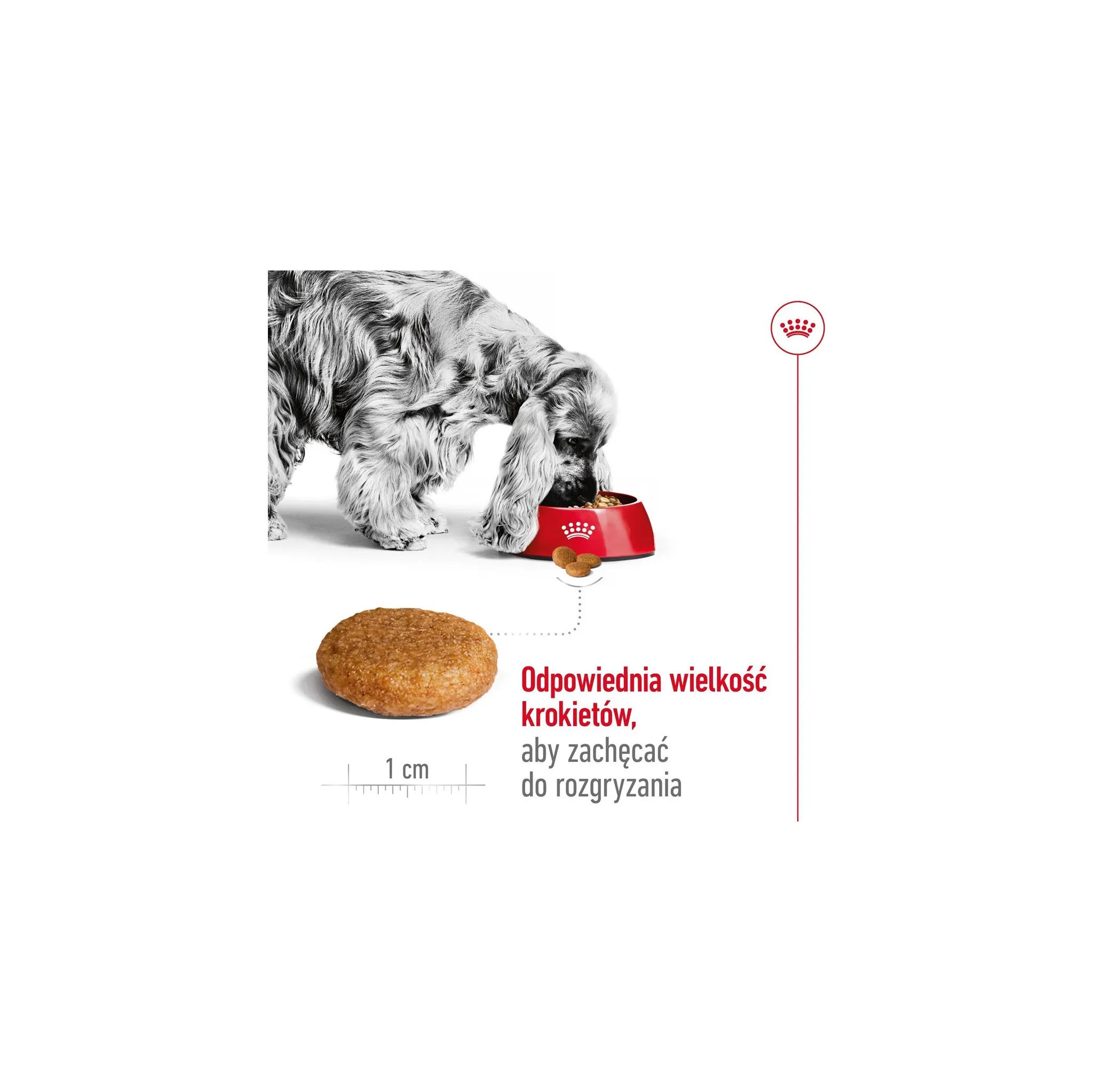 Fotografie 9 - Krmivo pro psa Royal Canin Adult Medium Poultry 15 kg