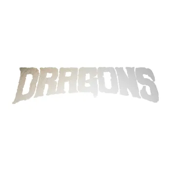 Polep vozidla SAMOLEPKA Dragons nápis Draci (82 - odrazková reflexní bílá) NA AUTO, NÁLEPKA, FÓLIE, POLEP, TUNING, VLASTNÍ TEXT, TISK, AUTOSAMOLEPKY.cz, POLEPY, OBRÁZEK, LOGO, SAMOLEPKY