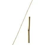 Bambusová tyč k rostlinám 0,8-1 x 120 cm