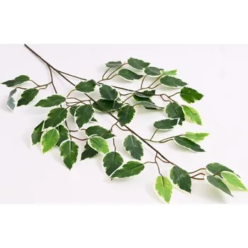 umělá květina Větev fíkusu 62 cm, zeleno-bílá