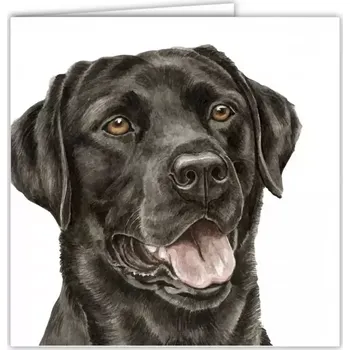 Přání v obálce Černý Labrador, WD 16,5 x 16,5 cm (Blahopřání s obálkou s pejskem, psi, pes)