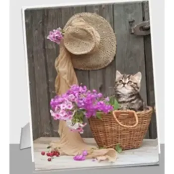 Obraz Obrázek kočka BD567 - SLEVA 3% s kodem radost25