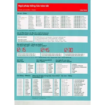 Český jazyk ČESKÁ GRAMATIKA V KOSTCE VEITNAMSKÁ VERZE - Holá Lída