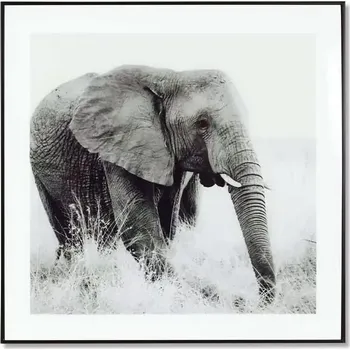 Obraz Obraz skleněný HS059 - SLEVA 3% s kodem radost25