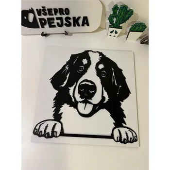 Vsepropejska Bernský salašnický 4 dřevěná dekorace na zeď Rozměr (cm): 38 x 38