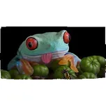 Ručník Veselá žába: 30x50 cm
