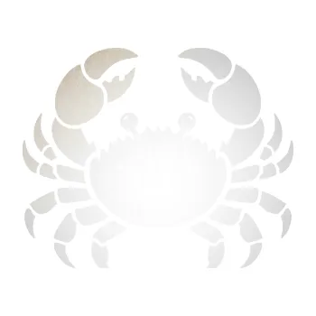 Samolepící dekorace SAMOLEPKA Krab 002 (82 - odrazková reflexní bílá) NA AUTO, NÁLEPKA, FÓLIE, POLEP, TUNING, VLASTNÍ TEXT, TISK, AUTOSAMOLEPKY.cz, POLEPY, OBRÁZEK, LOGO, SAMOLEPKY