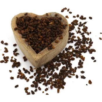 Sušené ovoce FITBOY Rakytník plod - celý 100g 100g