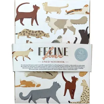 Zápisník Zápisník s malovanými kočkami