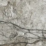 Marble Skin Grey Matt Rect - dlaždice rektifikovaná 59,8x59,8 šedá NT1058-034-1