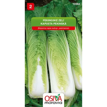 Semeno Osiva Moravia Pekingské zelí 0,6 g