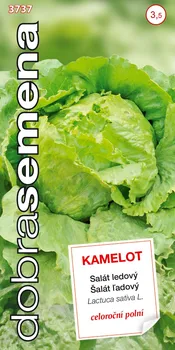 Semeno Dobrá semena Kamelot salát celoroční ledový 0,6 g