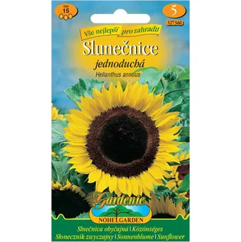 Semeno Nohel Garden Taiyo slunečnice roční jednoduchá žlutá 15 ks