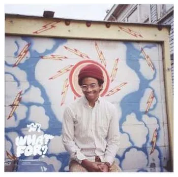 Zahraniční hudba CD Toro Y Moi: What For? 2015