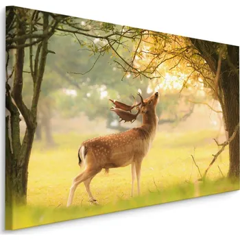 MyBestHome BOX Plátno Daněk Mezi Stromy Varianta: 30x20