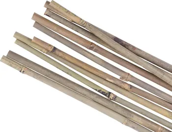 Opora na rostlinu Strend Pro 2210177 bambusová tyč 1-1,2 x 120 cm 10 ks