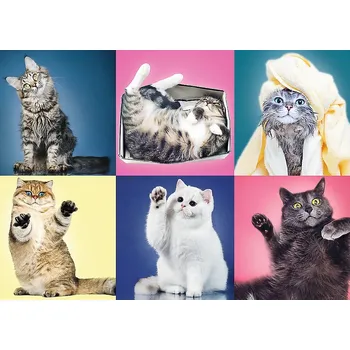 Hračka Puzzle Trefl Koťata, 500 dílků