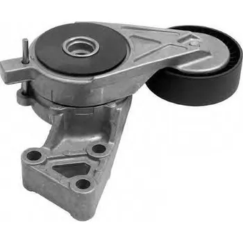 Motor automobilu napínací kladka řemene alternátoru SKF