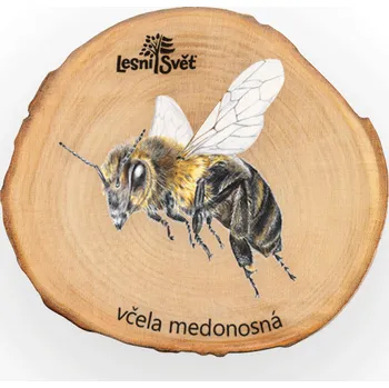 Pastelka Magnet Letokruh včela