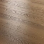 Arbiton Woodric Eir Dub Dallas CWS 211