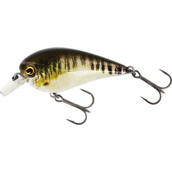 Umělá nástraha Westin Wobler BassBite 2.5 Squarebill 7cm 16g Floating Real Minnow