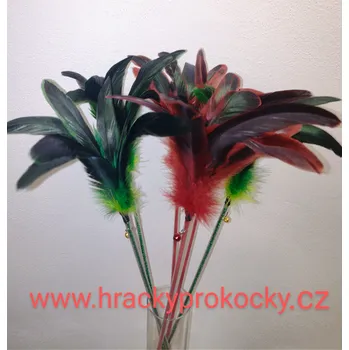 Hračka pro kočku Hračka pro kočky Kohout