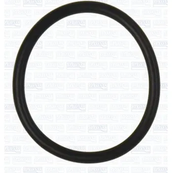 Těsnění motoru Těsnění, potrubí chladicí kapaliny, 16506800, 1096234650, 269979745, A0269979745, AJUSA, 16506800