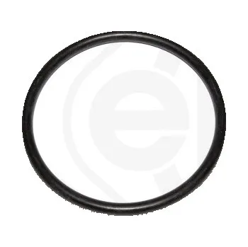 Autodíl Těsnicí kroužek, , ELRING, 003.210