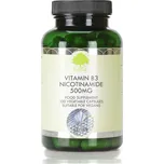 G&G Vitamins Vitamín B3 Nikotinamid 500…