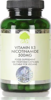G&G Vitamins Vitamín B3 Nikotinamid 500 mg 120 cps.