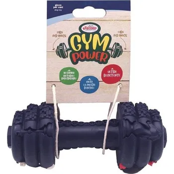 Hračka pro psy GYM POWER Činka - 15,2cm