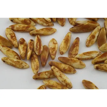 Korálek Koralky jazýčky č. 2396 (15x5 mm)