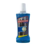 Vřídlo Karlovy Vary Carlotherm ženšen 500 ml