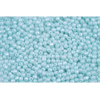 Korálek Korálky broušené 979 (3 mm)