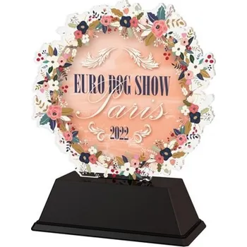 Volný čas Poháry Bauer Akrylátová trofej EDS22FA003