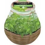 Bolsius Terrace Citronella svíčka proti…