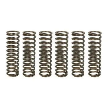 Spojkové pružiny TRW Aprilia ETV 1200 CapoNord 13-17