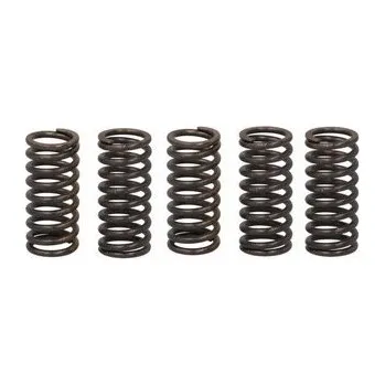Spojkové pružiny TRW Honda VT 1100 C2 95-99