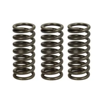 Spojkové pružiny TRW Ducati 1260 XDiavel/S, Dark 16-21