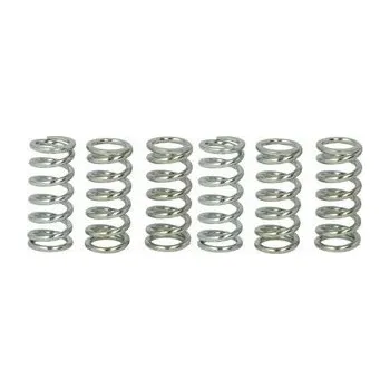 Spojkové pružiny TRW Triumph 600 Speed Four 02-