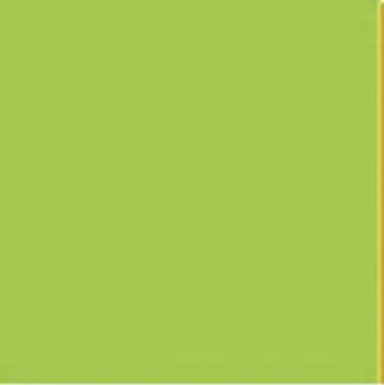 Barevný papír Barevný karton - A4 / 160 g / jarní zelená