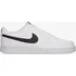 Pánské tenisky NIKE Court Vision Low Next Nature DH2987-101