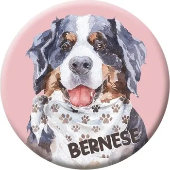 Button (placka) se špendlíkem 44 mm - Bernese