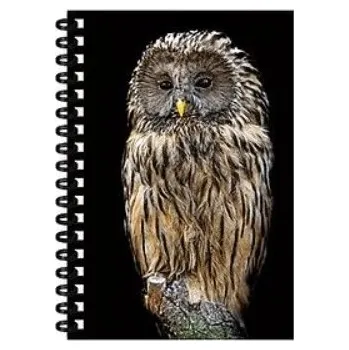 E-myslivost Dětský 3D zápisník pro malé myslivce - SOVA