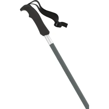 Sjezdová hůlka Atomic REDSTER Q Green./Silver 125