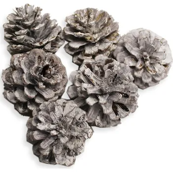 Vánoční dekorace Šišky 100g/4cm bělené