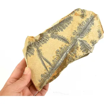 Přírodní kámen Vápenec s dendrity (Solnhofen) 660g